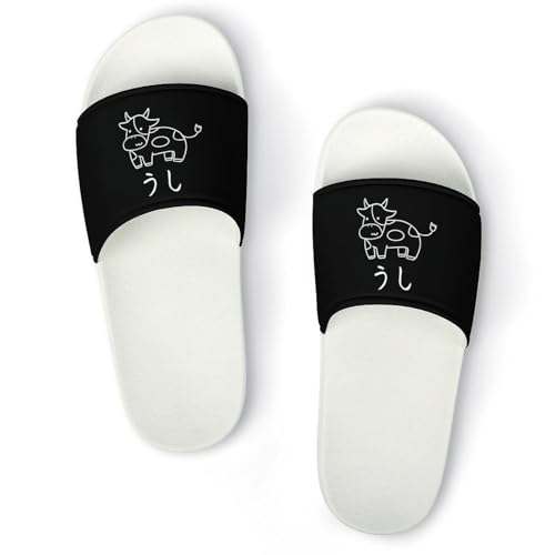 [MOLIHUACHA]    Xbp T_ Y fB[X  [V[Y r[`T_ V[p y ~ R hL ʋC  qp Op ėp 