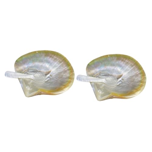 Cabilock 2 Sets Elegant Shell Serving Plate with Spoon Unique Dessert Dish for Home for Snacks Buffets Creative Tableware for Restaurants Bakeries Natural Shell Design