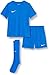 Nike Unisex Kids Kit Lk Nk Df Park20 Kit Set K, Royal Blue/Royal Blue/White, CD2244-463, L