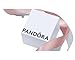 Imagen de PANDORA Caja de regalo de joyería para mujer
