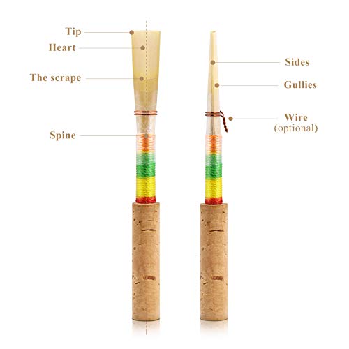 image for Eastar ERD-OBms Oboe Reed, Medium Soft Reed with Individual Moisture-P