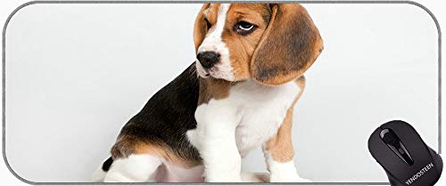 YENDOSTEEN Größere erweiterte Gaming-Mauspad, Hunde Beagle-Welpe...