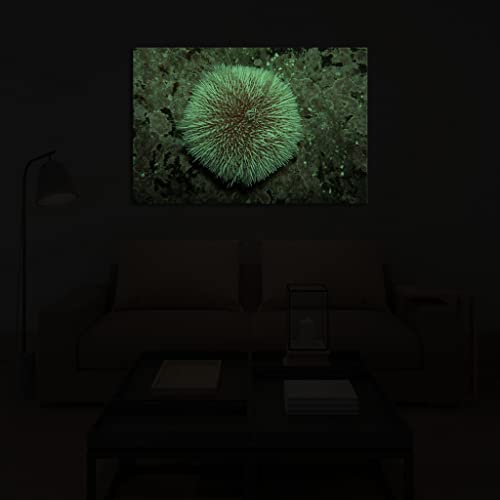 Tableau phosphorescent nature poétique pour sublimer vos nuits - 4