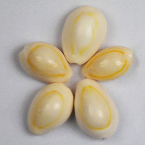 Healifty 100 Pcs White Spiral Shell Beads Sea Shells Beach Seashells Cowrie Shells Charms for DIY Craft Jewelry Making Accessories