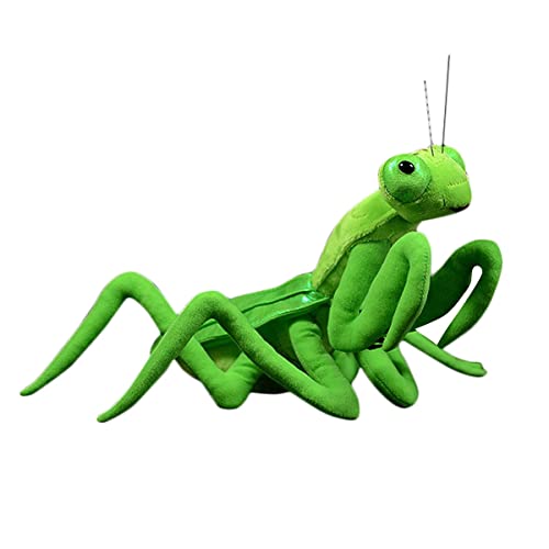 Green Chinese Big Cuchillo Mantis Mantis Peluche Juguete, Simulación Linda Mantis Rezando Muñeca Peluche Peluche Peluche Peluche Peluche 12 pulgadas Modelo de juguete Niños Almohada Cumpleaños Regalo Cover