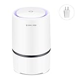 RIGOGLIOSO Portable Air Purifier for Home with True HEPA, Air Ionizer Freshener with LED Night Light, PM2.5 Eliminator Cleaner for Cigarette Smoke, Allergies, Bac (Air Purifier(Adapter))