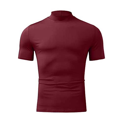 Men Fashion Short Sleeve Turtleneck T Shirt Slim Fit Pullover Top Thermal Shirts3