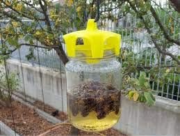 ATTRAPE-GUEPE AND CO Wasp Traps pack of 4 green Made in Italy