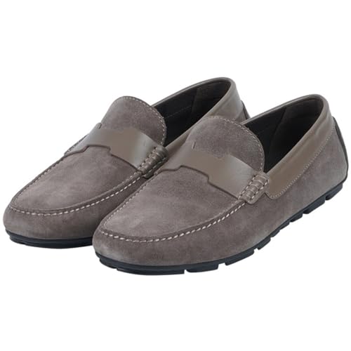 [SARFI] [t@[ Y vXG[h rWlX tH[} amC hCrO EH[LOV[Y vC JWA Xb| ^]C y h  JV ʋ ʐ Ep