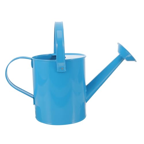 Happyyami Regadera De Hierro De Colores Suculento Cesta Regadera De Luz Solar Inserto De Maceta De Autorriego Pequeña Regadera Tanque Regadera De Jardín Sin Aire Lata De Agua Planchar Blue