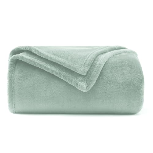 WAVVE Plaid Couverture Polaire Flanelle en Microfibre, Jeté de Canapé 150x200 Vert Clair, Couverture lit Jete de Canape 2 Personnes, Plaid Fourrure Grand Chaud et Doux...