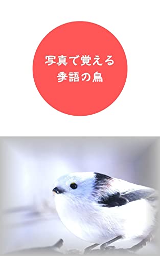 写真で覚える季語の鳥 鳥シリーズ