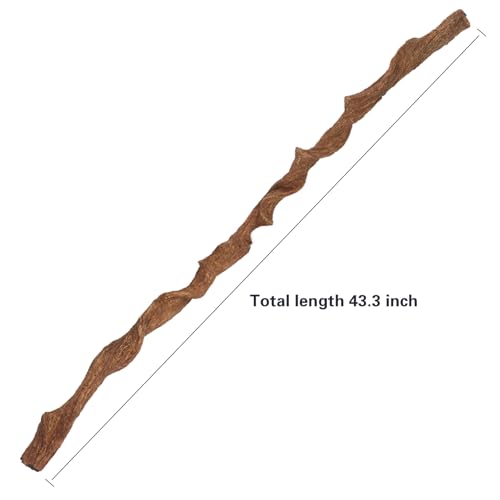 AQUA KT Reptile Twist Climber Vine Bendable Branch for Lizard Snake Bearded Dragon Crested Gecko Climbing Accessory Terrarium Habitat Decoration