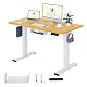 Flexispot EC1W-EU+PR1206