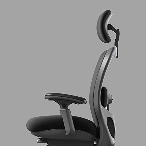 Cxo Executive Mid Back Chair In Black W Headrest (Burgundy) #TOP7