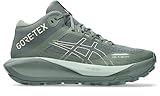 ASICS Damen Gel-Trabuco MT GTX Traillaufschuhe, Monument Blue/Vanilla, 40.5 EU