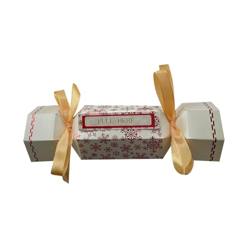 Genérico Caixa surpresa de Natal para bilhetes, mala de tirar dinheiro com design de doce, festas e Natal, inclui 10 bolsas transparentes para dinheiro ou pequenas prendas (B)