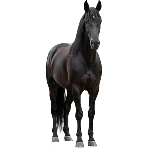 Image of Black Horse 3FT Life Size Cardboard Cutout, Animal Standup, 1 PC | Fun Animal Standup for Events, Party Decor, Birthdays, Photos, Photo Booth, Wall Decor, Holiday Gifts