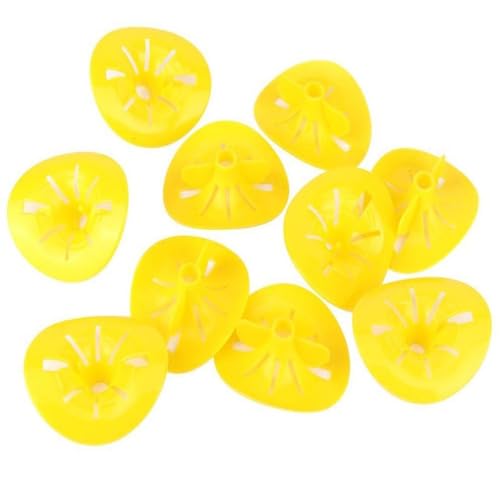 BuyWeek Pièges à guêpes, 10 pièces Piège à guêpes Pièges à Abeilles Pièges à frelons Outils d'apiculture