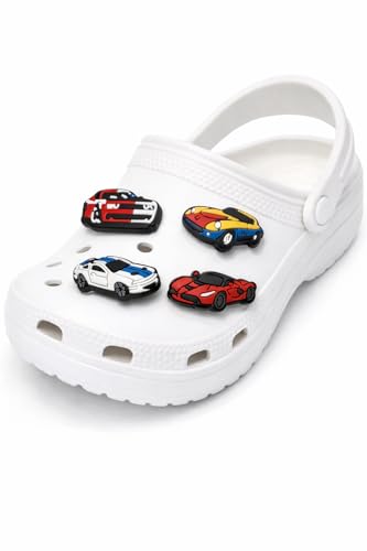 BABOLE® 5 Pcs Pack Shoe Charms For Decoration Clogs Sandels Multicolour