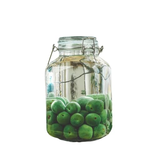 Deronder梅酒 瓶 ガラスびん 果実酒びん 2L/3L/4L/5L 大容量食品保存容器 ガラス 密封瓶 密閉容器 キャニスター コーヒー豆 茶葉 砂糖保存容器 果実酒 づくり (3L,四角型)