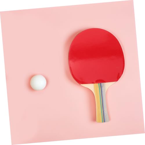 Ébauches de raquettes de tennis de table à peindre pour activité manuelle