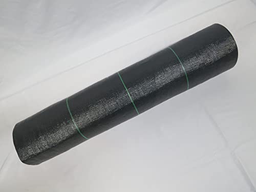 omorihV[g2m×50m KF 1{