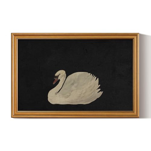 Image of HUARCEY Gold Framed Vintage Wall Art for Living Room, Grace Swan Art Painting Pictures Rustic Animal Bathroom Prints Farmhouse Wall Decor Canvas Swan Shelf Decor for Kitchen Bedroom (Zwaan 16 inchx24 inch)