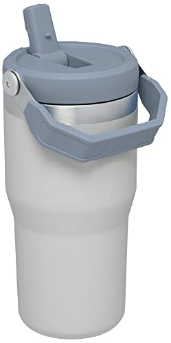 Stanley IceFlow Flip Straw Tumbler with Handle 20 oz | Twist On Lid and Flip Up Straw | Leak Resistant Water Bottle | Insulated Stainless Steel |BPA-Free | Fog
