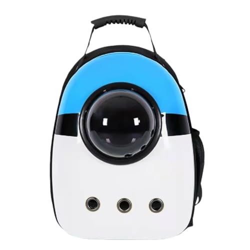 Kiwet L[obO bN LL[ bN FD JvZ y ^p hCu LsO s ʉ@ ЊQ p (17)