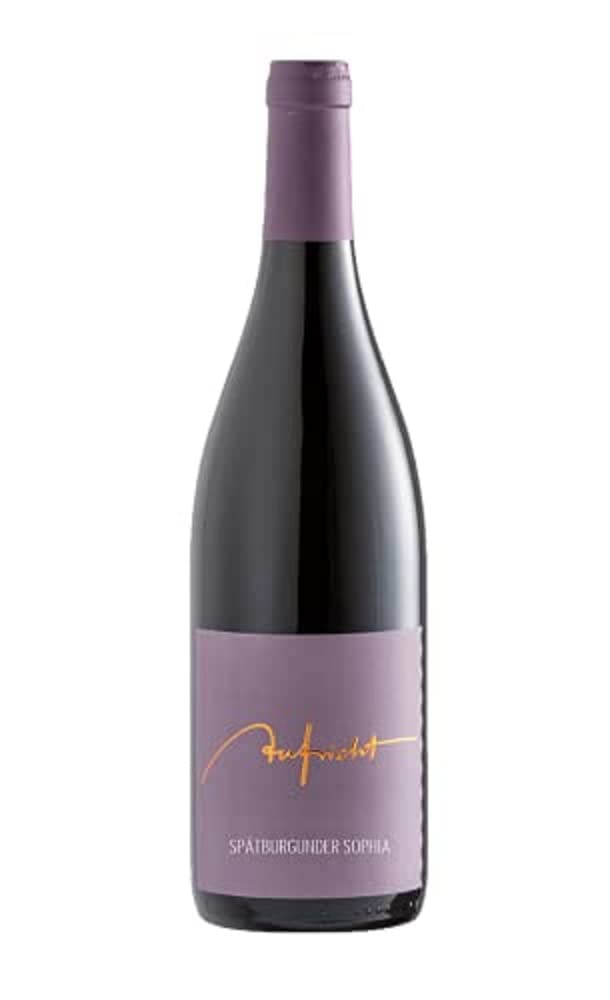 Weingut Aufricht Spätburgunder Sophia NV trocken (1 x Flasche)