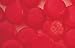 Sugar Free Red Wild Cherry Delight Chews 1LB Bag