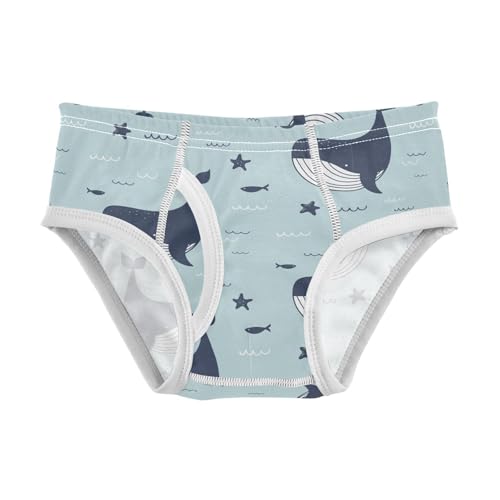 Whales Dolphins Boys' Underwear Cotton Boys Briefs Soft Toddler Underwear 5T Multi