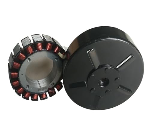Moteur asynchrone et générateur pour véhicule électrique 60V bobine cuivre