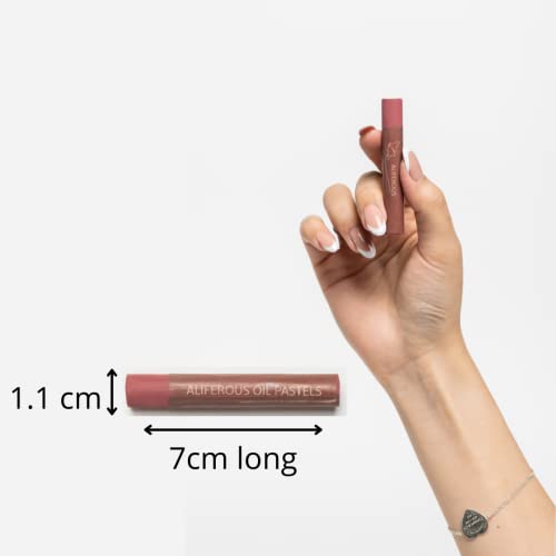 Soft Oil Pastels Set Of 48 Colors - Pastels Art Supplies For Professional Drawing - Non Toxic Oil Pastels Classroom Sets For Kids - Creamy Color And Texture - Portfolio Oil Pastel Pack For Artists #TOP6