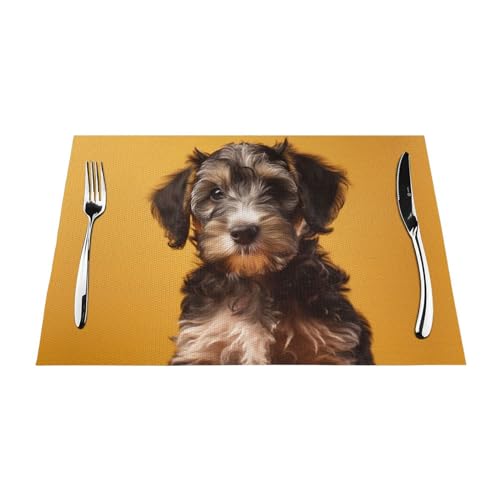 Napperons en PVC lavable noir pour protéger la table des taches