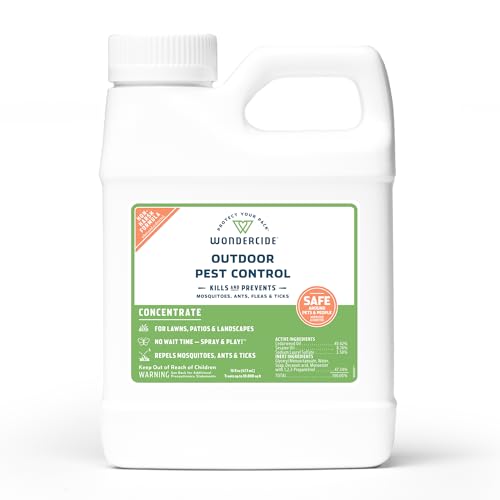 Why do cats randomly hit each other