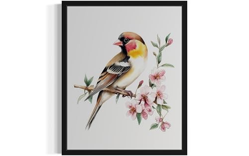 HomeArtPrint Goldfinch Art Print Poster, Bird Nature Floral Botanical Wildlife Vintage Wall Art Paintings Artwork for Bedroom Bathroom Living Room Decor 96B (Goldfinch, 24" L x 18" W, Black Frame)