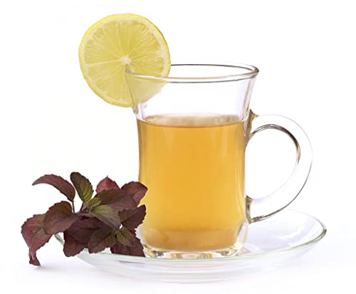 Image of MARTVIA Crystal Clear Toughened Glass Tea Cup with Convenient Solid Handle Cups, Espresso Mug Set for Tea, Coffee, Hot /Cold Drinks (City Cup 170 ML, 2)