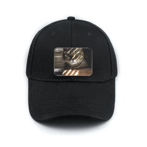 Casquette de baseball chat noir ray pour sorties urbaines et balades de week-end