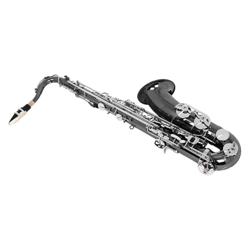 tFbViTbNX EAgTbNXZbg O[ E ؊ǊyiP[XƃANZT[tj(Saxophone set 3)