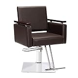 PENNYNANA Salon Chair for Hair Stylist, Hydraulic Barber Chair with 360 Degree for Barbershop, Beaut