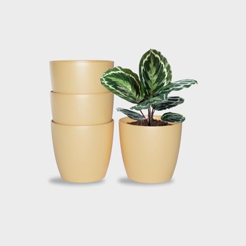 Image of YUCCABE ITALIA SHERA Stella 12 Inch Plastic Plant Pot for Home Decor Indoor Plant Pots for Living Room Plastic Flower Pot for Garden (Beige, 12 INCH - 4 Pcs)
