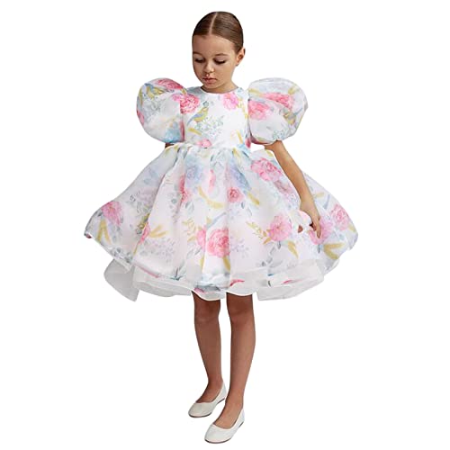 Short Puff Sleeve Flower Girl Dress Short Toddler Girls Fluffy Tulle Dress Pageant Dresses for Girls Baby Boy Clothes