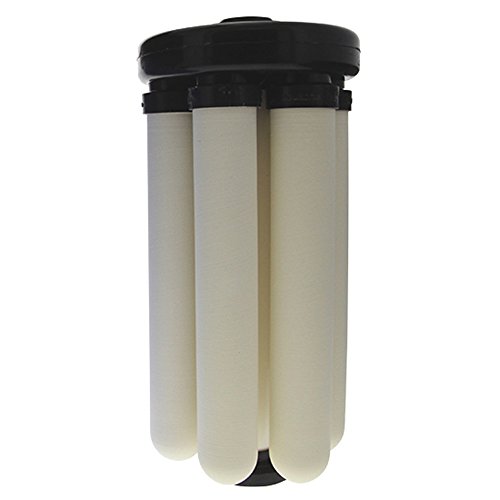Doulton W9381000 Rio 2000 Module Including 6 x Bespoke Sterasyl Ceramic Drinking Water Candle Filters 8 inch for High Flow Big Blue Housing, White, 1 Pack