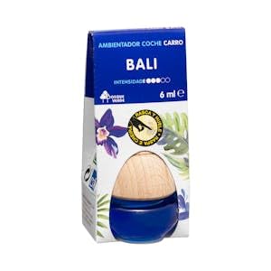 Ambientador coche Bali Bosque Verde Caja 1 ud. Pack 2