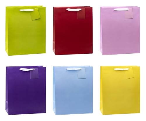 TSI Lot de 12 sacs cadeaux - Couleurs tendance - Dimensions : grand format (H x l x P) 32 x 26 x 13,5 cm - Numéro d'article : 86311