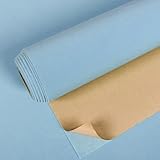 Papier peint doux : le papier peint tissu bleu clair est doux et confortable, et le toucher soyeux donne une meilleure apparence aux meubles
