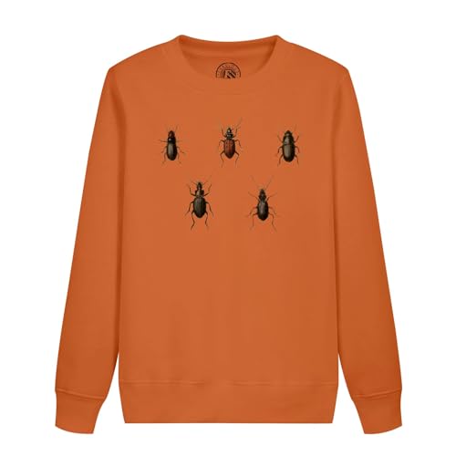 Sweatshirt enfant insectes pour éveiller la passion des petits naturalistes en herbe