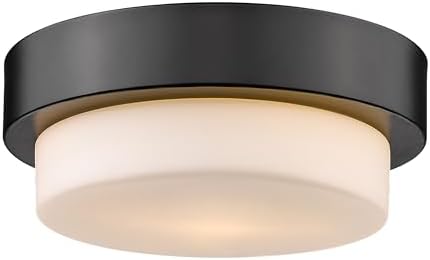 Multi-Family Flush Mount Matte Black with Opal Glass- Flush Mount Ceiling Light, Ceiling Light Fixture, Light Fixtures Ceiling Mount, Ceiling Light Fixtures, Foyer Lighting Fixtures,